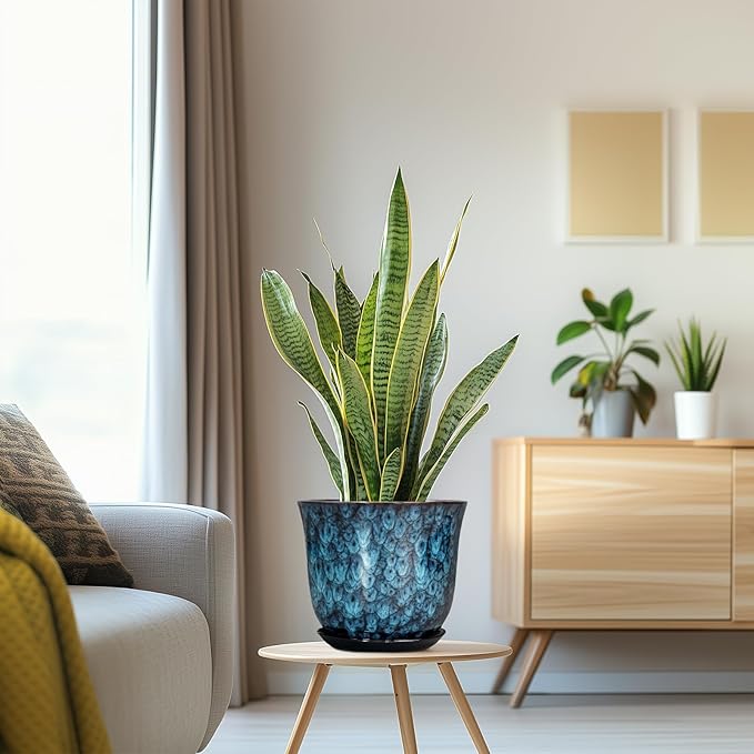 8 Inch Plant Pot - Image 5