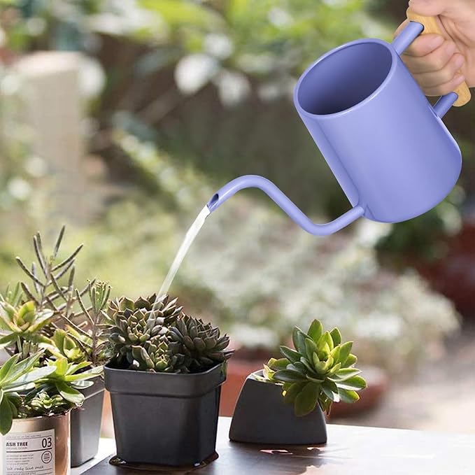 Watering Can Indoor Plants, 35 oz/1000 ml Metal Stainless Steel Watering Can Pot - Image 2