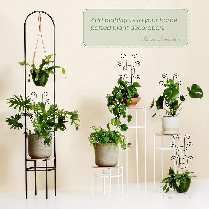 4 Pack 30 Inch Tall Metal Plant Trellis - Image 6