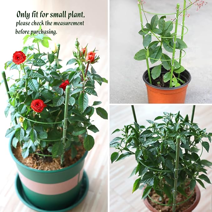 LEOBRO Tomato Cage, Climbing Plant, Plant Cages - Image 6