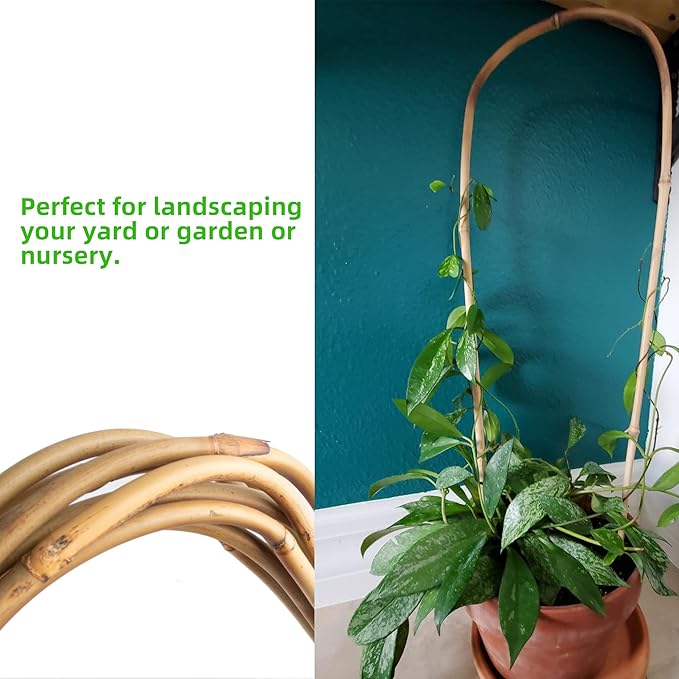 Avalution 16" Natural Bamboo Plants Trellis U-Hoop, Bamboo Gaeden Trellis - Image 3