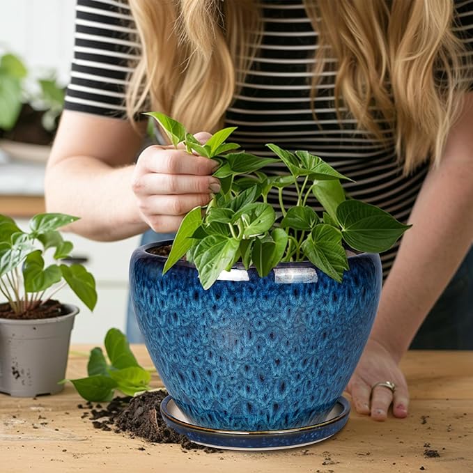 10 Inch Ceramic Planter Pot, Ceramic Plant Pot - Image 6