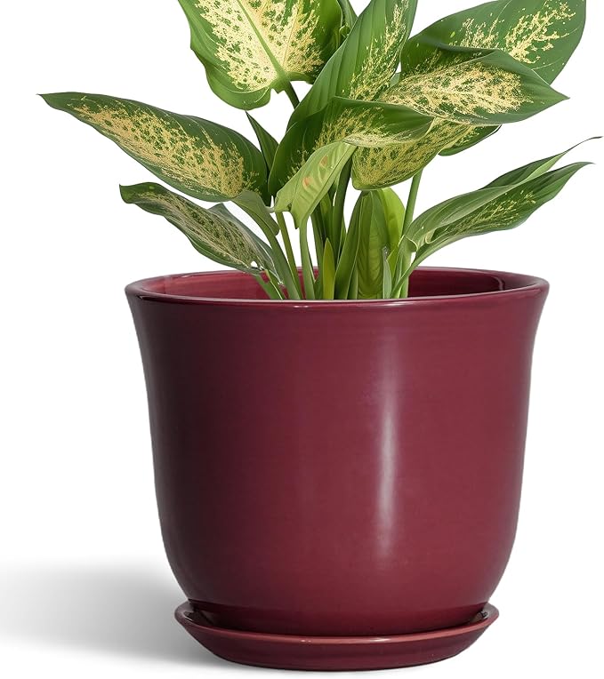 Ceramic Pots for Plants by SUNPOTFOR