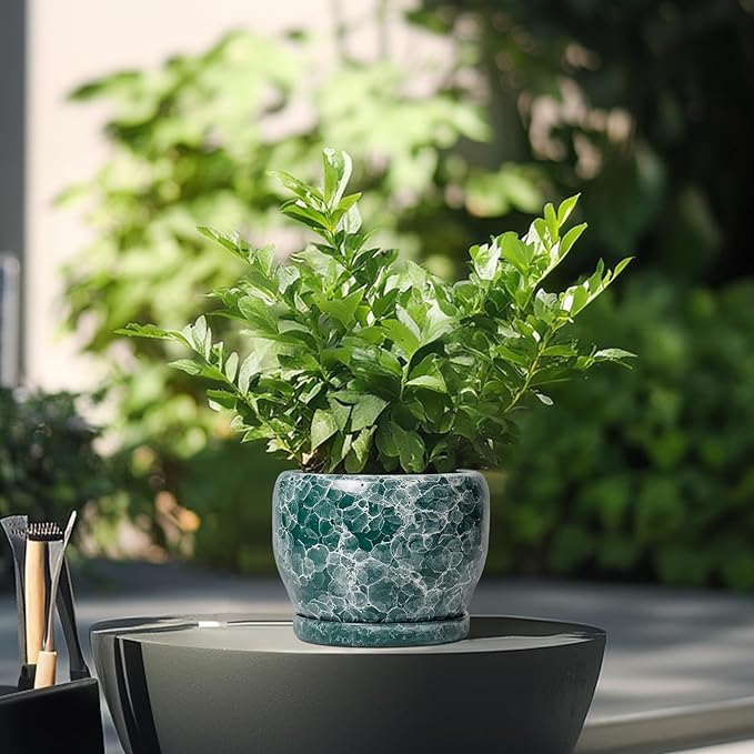SQOWL Ceramic Pot for Plants - Image 4
