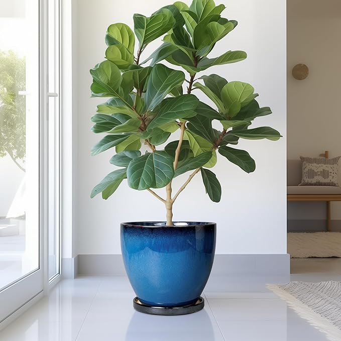 Ceramic Pots for Plants - Image 2