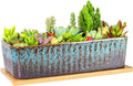 Succulent Pots - 12 Inch Large Succulent Planters by ARTKETTY