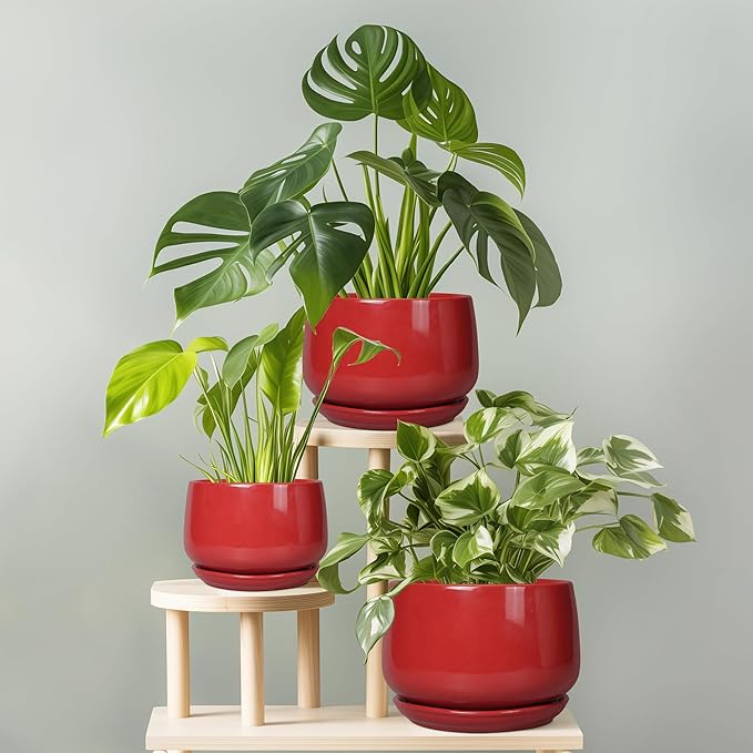 G EPGardening Ceramic Pot for Plants - Image 8