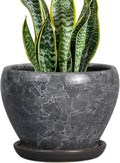 8 Inch Plant Pot by Ceramicfor