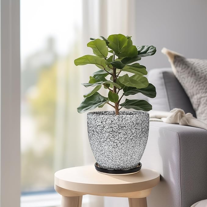 Ceramic Planter - Image 8