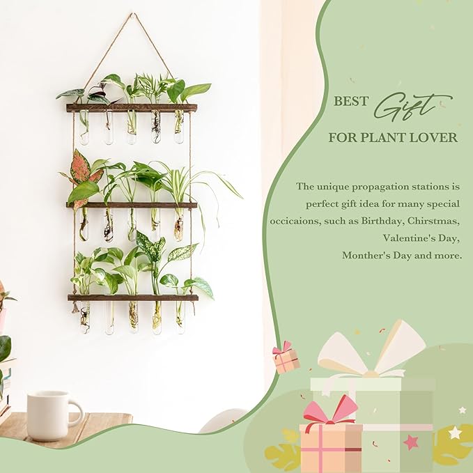 Mkono Plant Propagation Tubes, 3 Tiered Wall Hanging Terrarium - Image 3