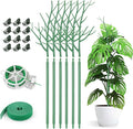 6 Pack Plant Support Stakes for Indoor Plants, 27.56 Inch Twig Plant Sticks by AOM