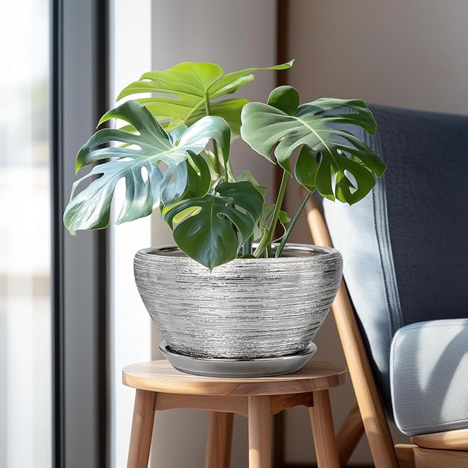 Flower Pot for Indoor Plants - Image 5
