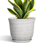 Ceramic Plant Pots by SUNPOTFOR