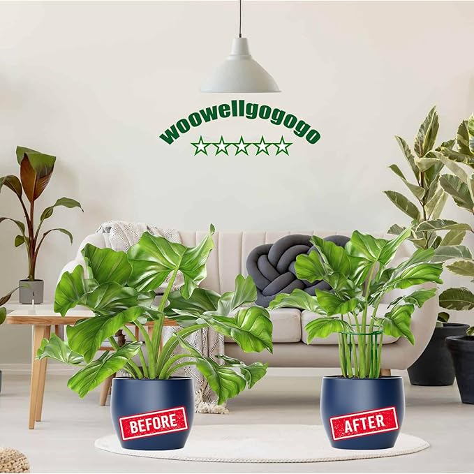 10-Pack Adjustable Height Snake Plant Support Stakes- Sturdy, Rust-Resistant - Image 6