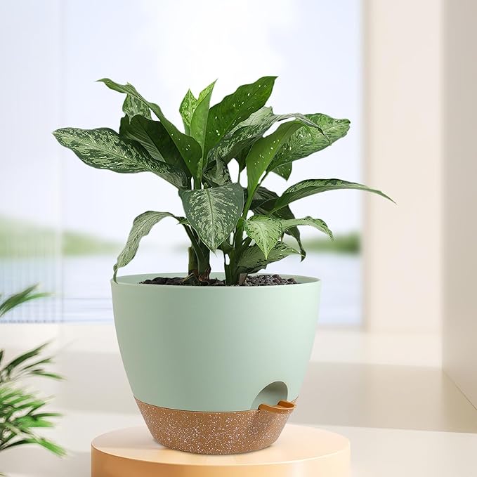 12 inch Large Self Watering Pots, Plant Pots - Image 6