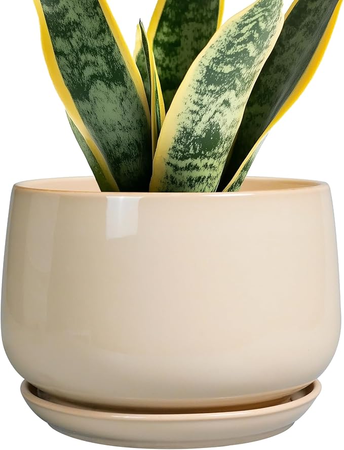 G EPGardening Ceramic Planter by GEPGardening
