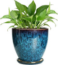 Ceramic Plant Pot, 6.3 Inch Ceramic Planter Pot by EPFamily