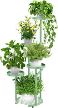 TOSKING 5 Tier Metal Plant Stand Indoor， Plant Shelf, Corner Shelf Flower Pot by TOSKINGESSENCE