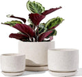 LE TAUCI Ceramic Plant Pots, 4.3+5.3+6.8 inch, Planters by LETAUCI
