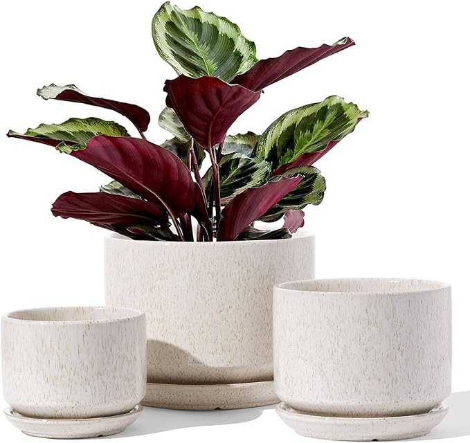 LE TAUCI Ceramic Plant Pots, 4.3+5.3+6.8 inch, Planters by LETAUCI