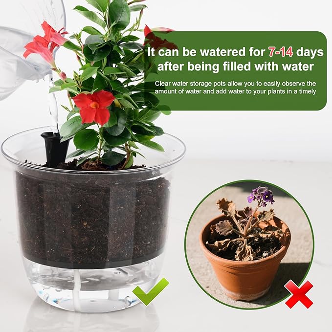 Plant Pots 6 inch Set of 3, Self Watering Pots - Image 5