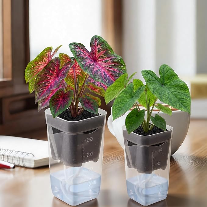 LemonRoad 20 Pack 2" and 2.5" Small Self Watering Pots - Image 7