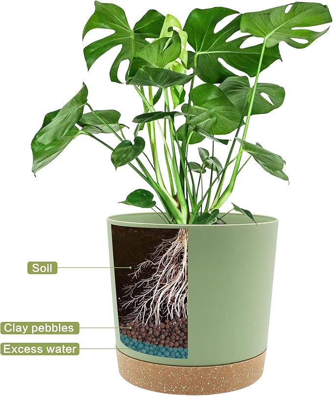 QCQHDU 8 inch Plant Pot, 2 Pack Planters - Image 4