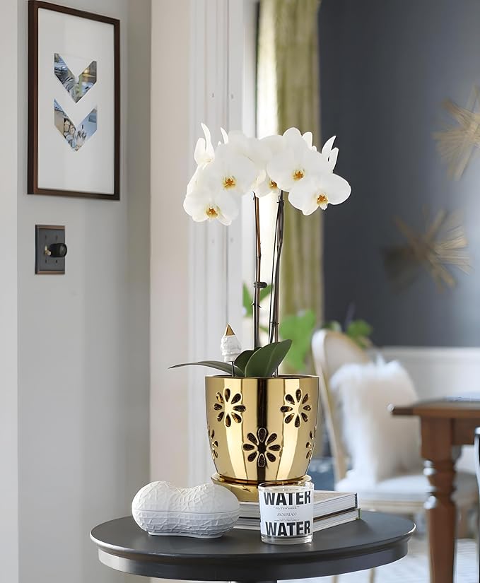 Oairse 6 inch Orchid Pots with Holes, Indoor Plant - Image 5