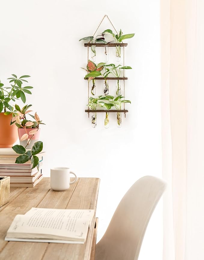 Mkono Plant Propagation Tubes, 3 Tiered Wall Hanging Terrarium - Image 3