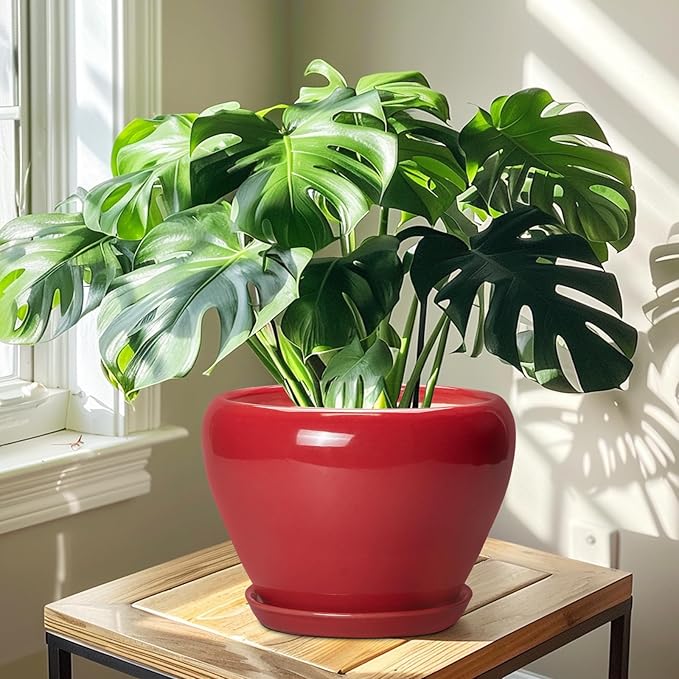 10 Inch Plant Pot - Image 6