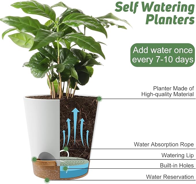 8-Inch Plant Pots, Self-Watering Planters - Image 5