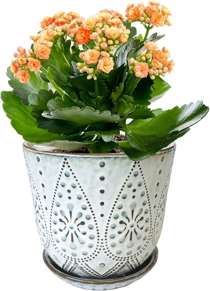 Gepege 6 Inch Beaded Ceramic Planter Set of 2 - Image 4