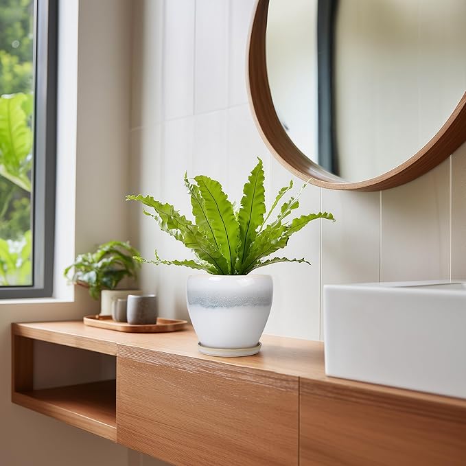 Ceramic Plant Pot - Image 7