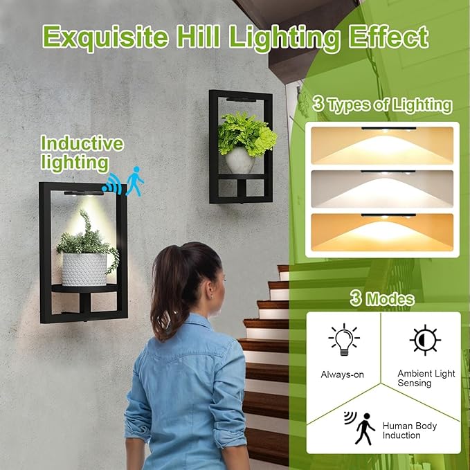 BAOYOUNI 2 Pack Picture Frame Wall Plant Holder - Image 7
