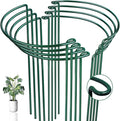 8 Pack Half Round Snake Plant Support Stakes Sets by WooWellGoGoGoProducts