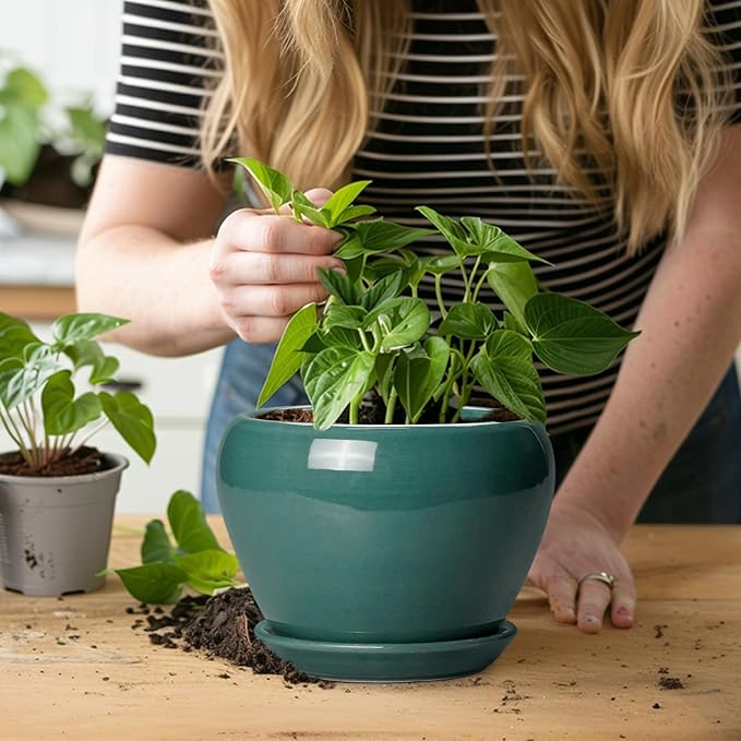 Indoor Plant Pot 6 Inch - Image 6