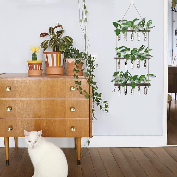 XXXFLOWER Wall Hanging Propagation Station - Image 3