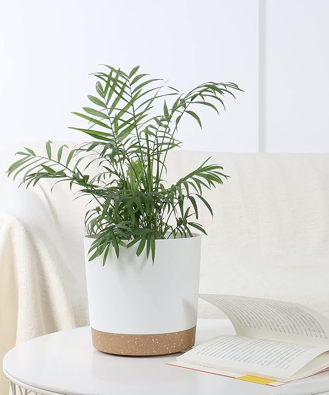 kubvici Indoor Plant Pots Planters 8 inch Plastic Planter - Image 6