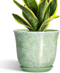 Ceramic Planter by SUNPOTFOR