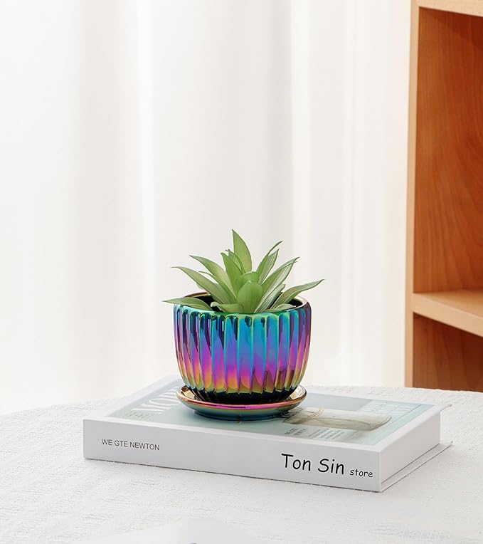 Ton Sin Flower Pots, Small Glazed Succulent Pots - Image 6