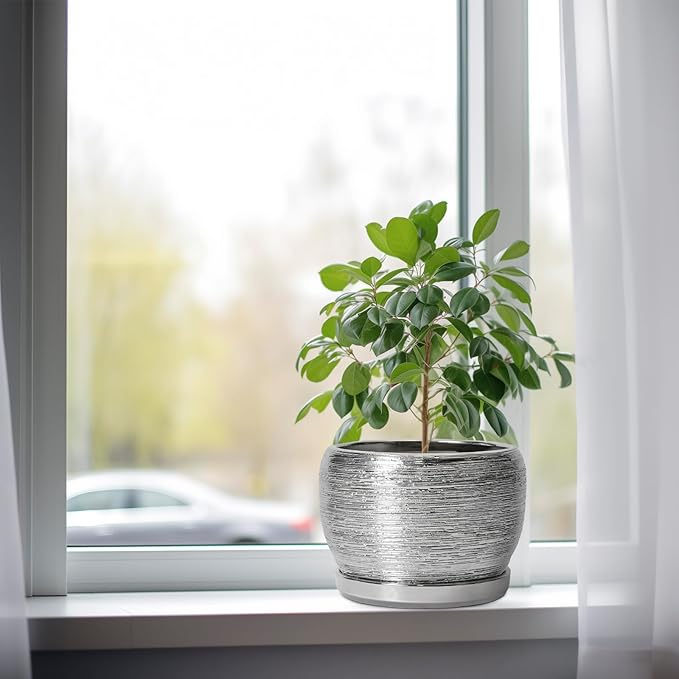 SQOWL Ceramic Pot for Plants - Image 4
