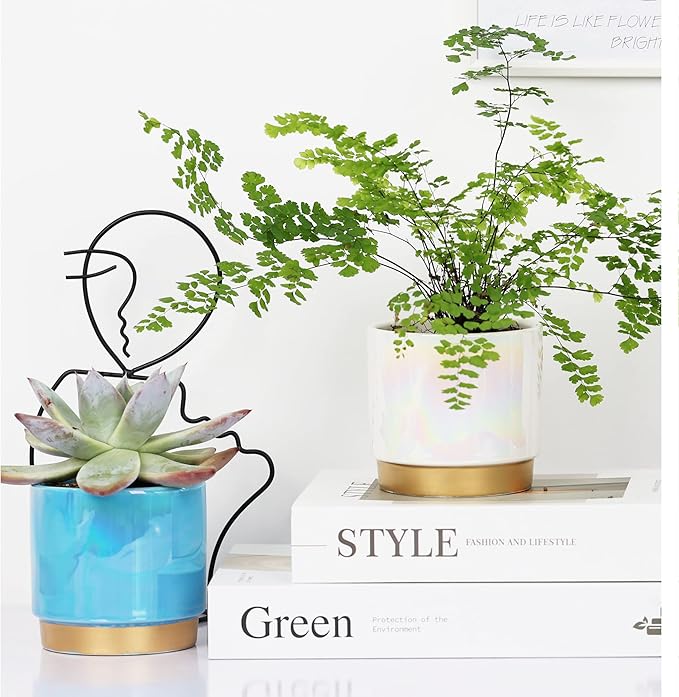 Gepege Succulent Pots for Plants, Succulent Planter - Image 5