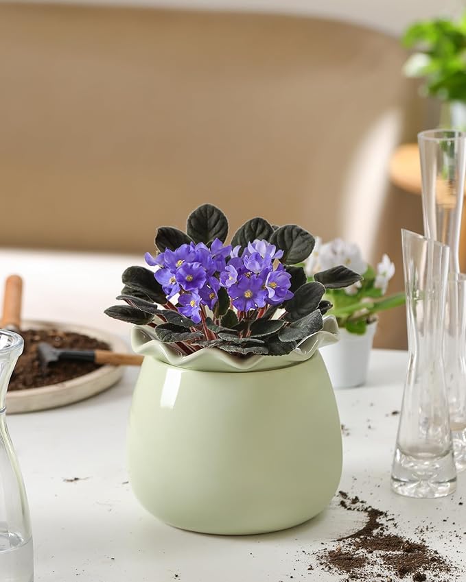 Self Watering Plant Pot, 6 Inch African Violet Pots Maintenance, Ceramic - Image 8