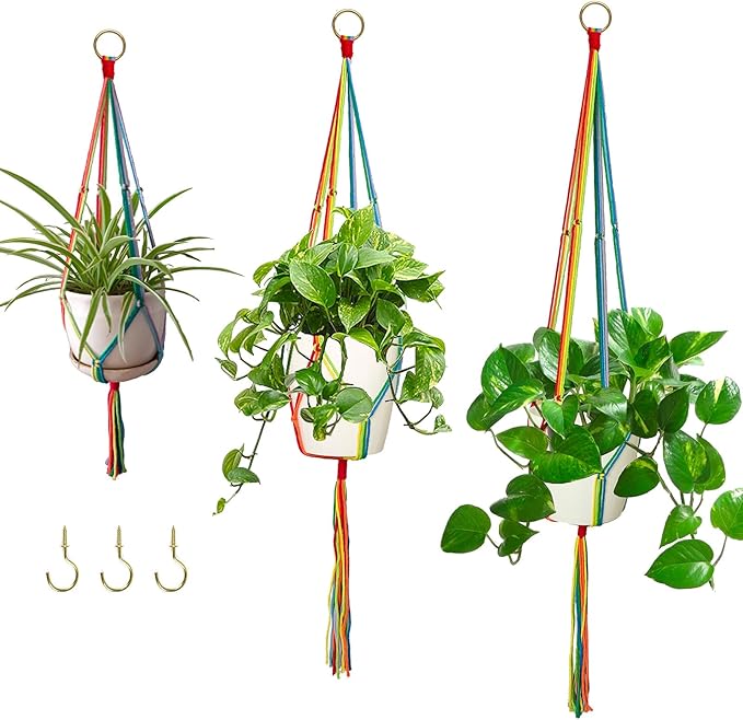 Rainbow Macrame Plant Hangers Indoor Outdoor, 3 Pack Different Size Flower Pot by HOWMAX