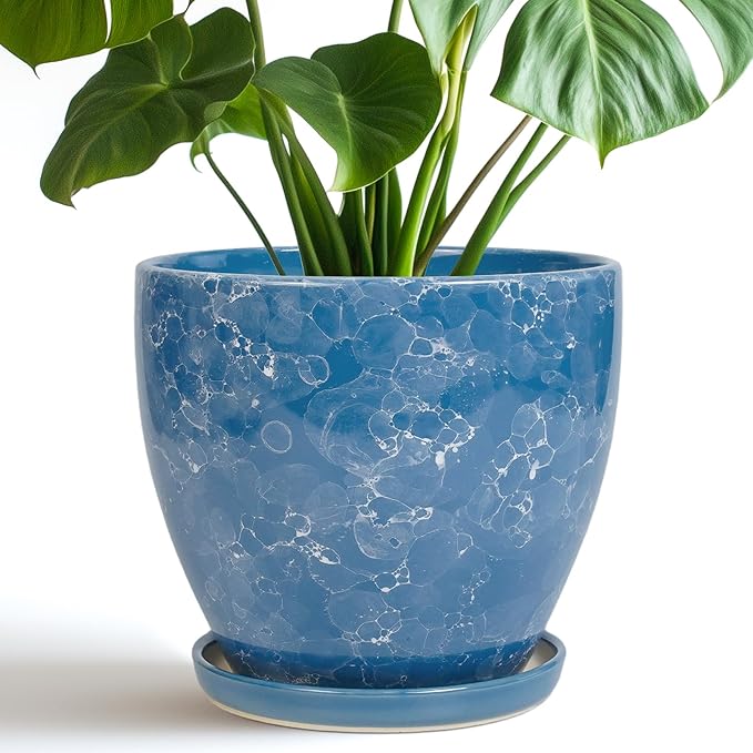 8 Inch Plant Pot by EPFamily