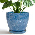 8 Inch Plant Pot by EPFamily