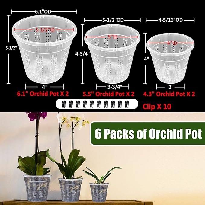 Orchid Pot, 2 Each of 4.3", 6.1" Orchid Pots - Image 6