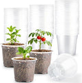 200 Pack 4 Inch Clear Plant pots by RooTrimmer