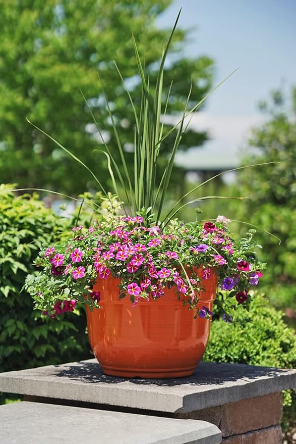 Garden Elements Indoor/Outdoor Glazed Brushed Happy Plastic Planter, Bright - Image 4