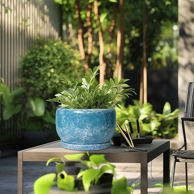 SQOWL Ceramic Planters - Image 5